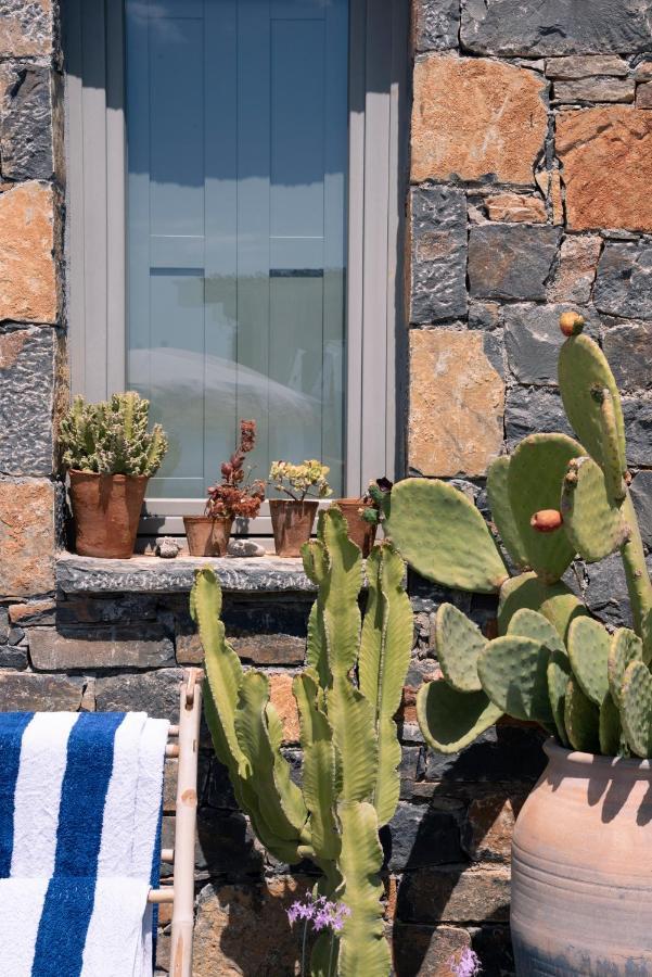 Villa Aiolos: Above The Sea, Within Agios Nikolaos Dış mekan fotoğraf